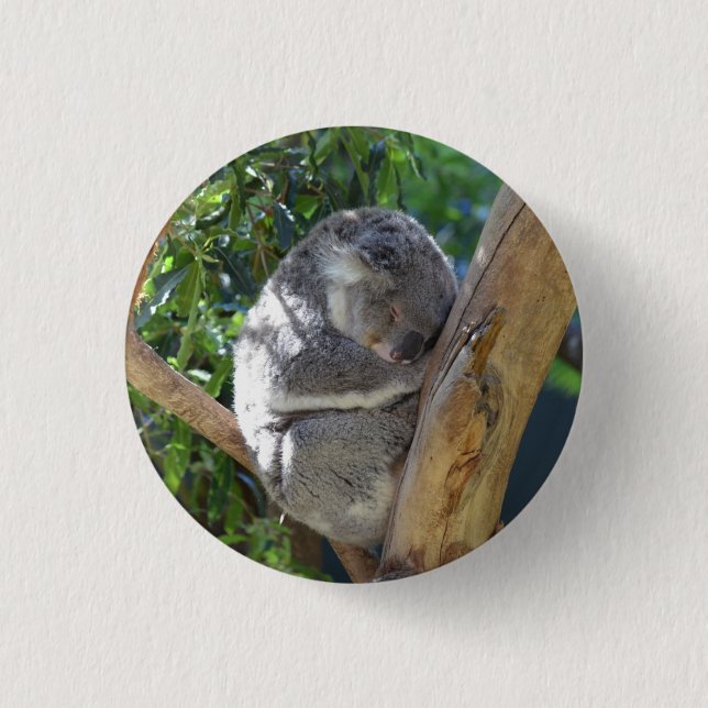 Süßer schlafender Koala im Baum Button (Vorderseite)