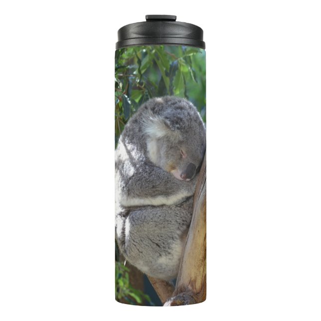 Süßer schlafender Koala im Baum Thermosbecher (Vorderseite)