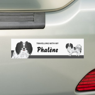 Süßer Schwarz-Weißer Phalène-Hundebesitzer Autoaufkleber