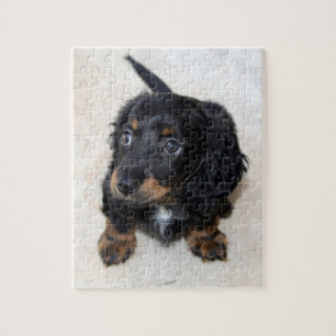 Süßer schwarzer Dachshund-Welpe Jigsaw Puzzle