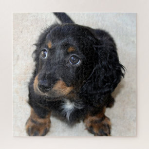 Süßer schwarzer Dachshund-Welpe Puzzle