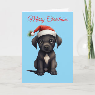 Süßer schwarzer Hund zu Weihnachten