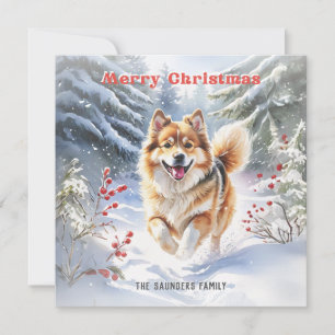 Süßer schwedischer Lapphund Hund Schnee Frohe Weih Feiertagskarte