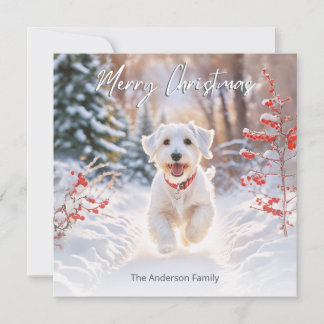 Süßer Sealyham Terrier Hund im Schnee Frohe Weihna Feiertagskarte