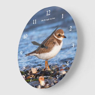 Süßer Semipalmated Regenpfeifer Sandstrandläufer W Große Wanduhr