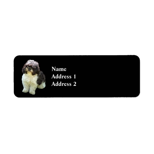 Süßer Shih Tzu Welpe (Vorne)
