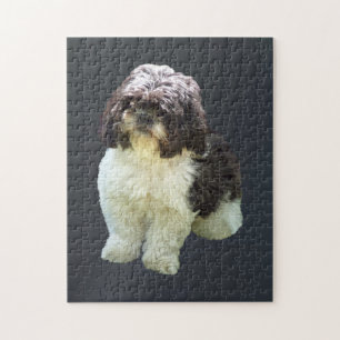 Süßer Shih Tzu Welpe Puzzle