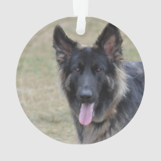 Süßer Shiloh Schäfer Ornament