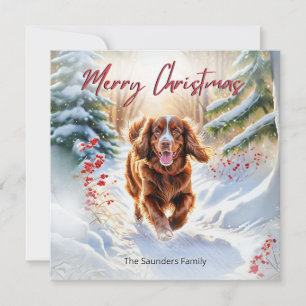 Süßer Sussex Spaniel im Schnee Weihnachten Frohe W