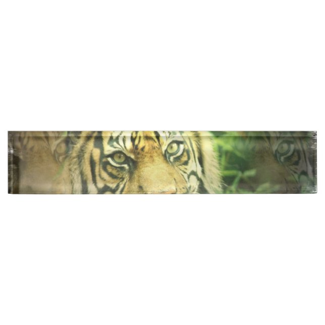 Süßer Tiger Namensplakette (Vorderseite)