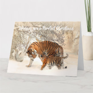 Süßer Tiger und Junges - Perfektes Weihnachten Karte