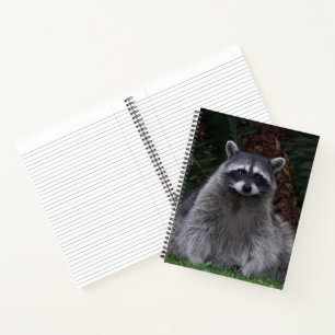 Süßer Wald-Waschbär-Wildlife-Foto-Notizblock Notizbuch