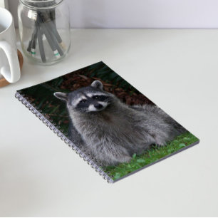 Süßer Waldwaschbär-Wildlife-Foto Notizblock