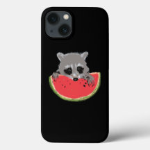 Süßer Waschbär