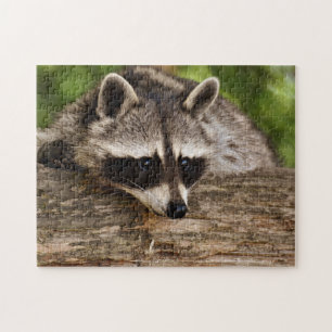 Süßer Waschbär im Wald Foto Puzzle