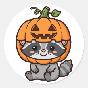 Süßer Waschbär-Kürbiskappe Halloween Runder Aufkleber