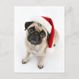 Süßer Weihnachts-Rehpug mit Santa-Hut und Hundebli Postkarte