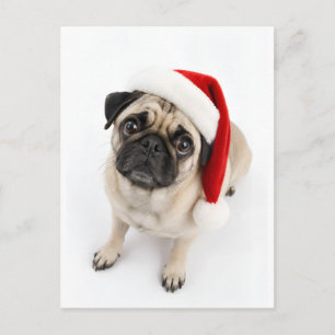 Süßer Weihnachts-Rehpug mit Santa-Hut und Hundebli Postkarte