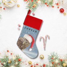 Süßer Weihnachtskauz mit roter Santa-Mütze Schneef
