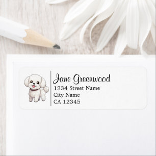 Süßer Weißer Bichon Frise Hund Name Und Adresse