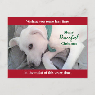 Süßer weißer Labrador-Hund faul roter Weihnachtsur Postkarte