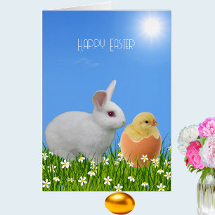Süßer weißer Osterhase & Küken auf Himmelblau