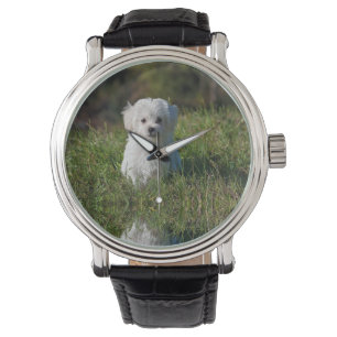 Süßer weißer Welpe Armbanduhr