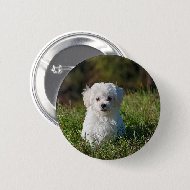 Süßer weißer Welpe Button (Vorne & Hinten)