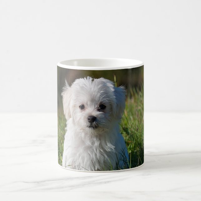 Süßer weißer Welpe Kaffeetasse (Mittel)