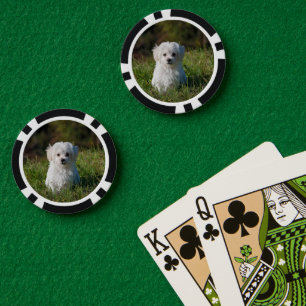 Süßer weißer Welpe Pokerchips
