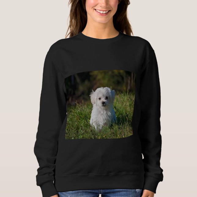 Süßer weißer Welpe Sweatshirt (Vorderseite)