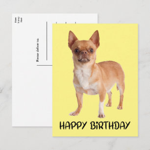 Süßer Welpe Hund Gelb Lustiger Chihuahua Geburtsta Postkarte