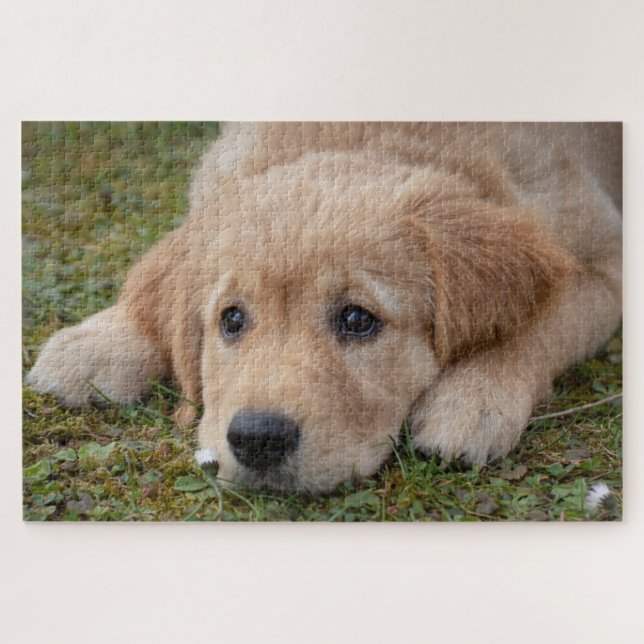 Süßer Welpe Hund Puzzle (Horizontal)
