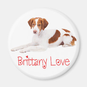 Süßer Welpe Hundeliebhaber Brittany Spaniel Magnet
