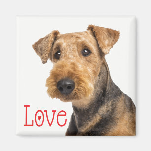 Süßer Welpe Hundemama Airedale Terrier Liebhaber Magnet