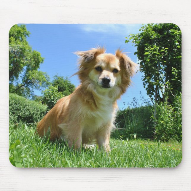 Süßer Welpe im Garten Mousepad (Vorne)