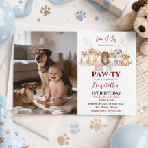 Süßer Welpen-Junge zum 1. Geburtstag | Pawty Time 