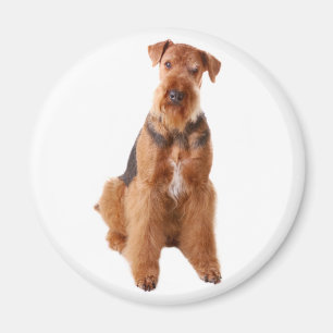 Süßer Welpenhund Mutter Hundeliebhaber Airedale Te Magnet