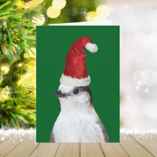 Süßer Whiskey Jack mit Weihnachtsmannmütze Feiertagskarte