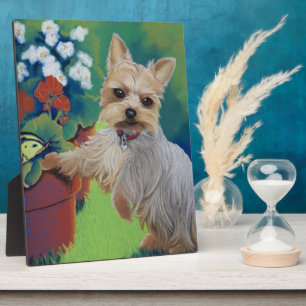 Süßer Yorkie Fotoplatte