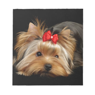 Süßer Yorkie Notizblock
