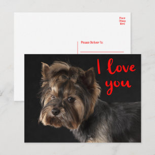 Süßer Yorkie-Welpe Hund Yorkshire Terrier Liebe Postkarte