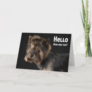 Süßer Yorkie-Welpenhund Liebe Yorkshire Terrier Ha Karte