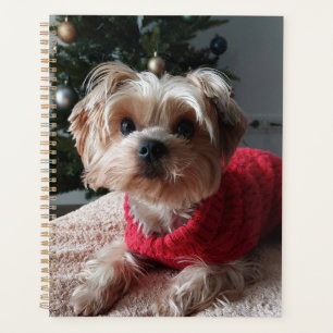 Süßer Yorkie Yorkshire Terrier mit Weihnachtsbaum Planer