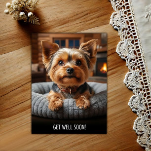 Süßer Yorkshire Terrier Gute Besserung Postkarte