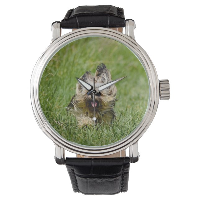 Süßer Yorkshire Terrier läuft durch Gras Armbanduhr (Vorderseite)