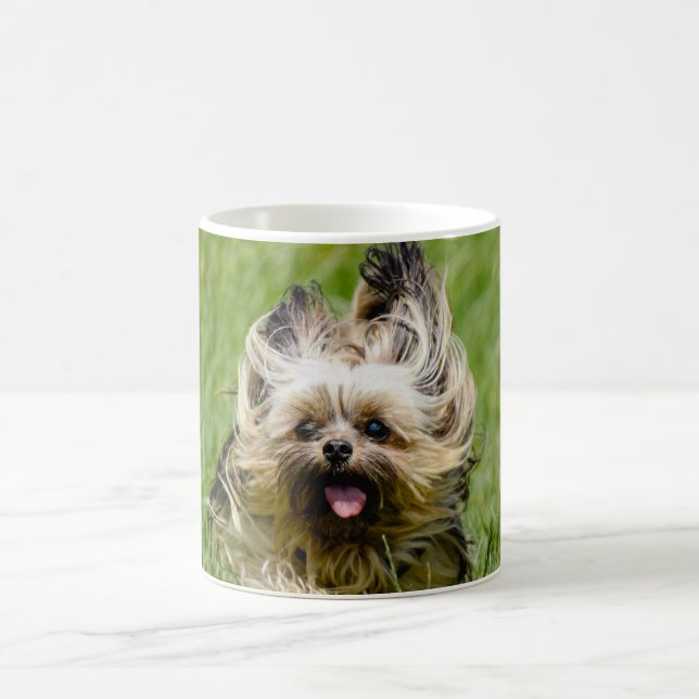 Süßer Yorkshire Terrier läuft durch Gras Kaffeetasse (Mittel)