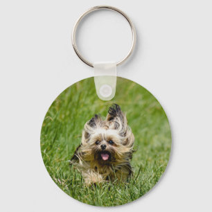Süßer Yorkshire Terrier läuft durch Gras Schlüsselanhänger