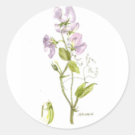 Süßerbse Runder Aufkleber