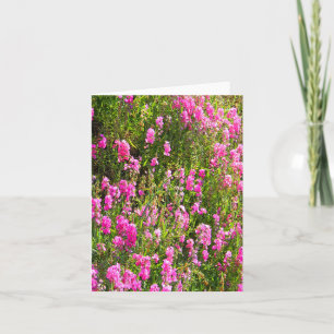 Süßerbsen auf dem Hügel... Karte